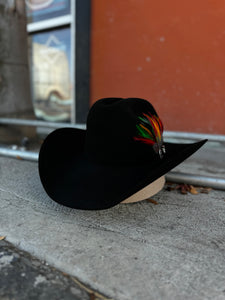 Stetson 6x skyline texana fina color negro